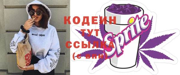 эйфоретик Гусь-Хрустальный