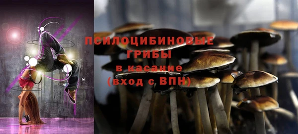 эйфоретик Гусь-Хрустальный
