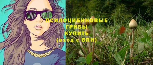 крисы Гусиноозёрск