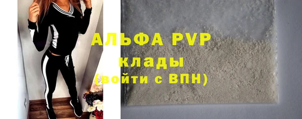 эйфоретик Гусь-Хрустальный
