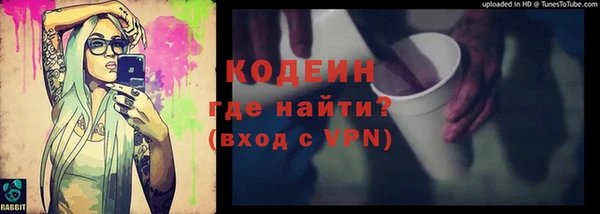 эйфоретик Гусь-Хрустальный