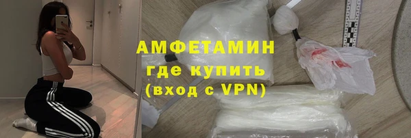 эйфоретик Гусь-Хрустальный