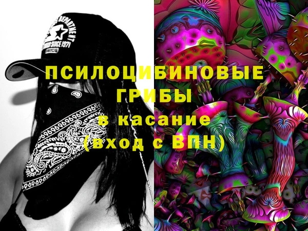 крисы Гусиноозёрск