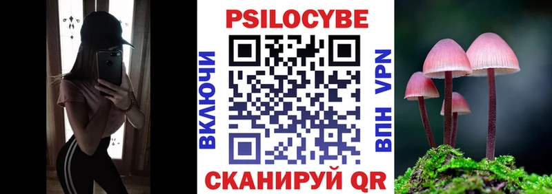Галлюциногенные грибы Psilocybine cubensis hydra вход Элиста маркетплейс как зайти купить